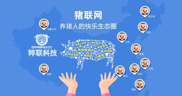 物联网养猪场：“养万头猪只需1人”不是梦